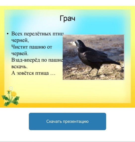 Весенние каникулы.